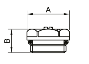 SG 105CH0004 Заглушка с воздухоотводчиком  1/2"НР хромированная 250шт/кор  фото в интернет-магазине SMARTGRP